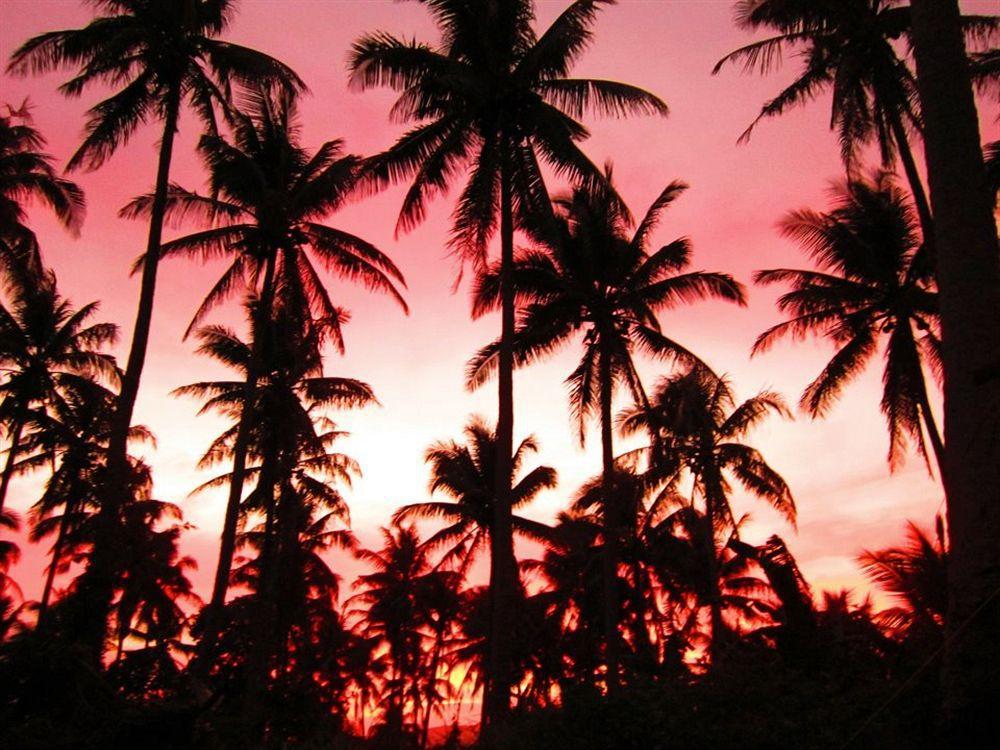 Balay De La Rama Bed & Breakfast Legazpi Buitenkant foto