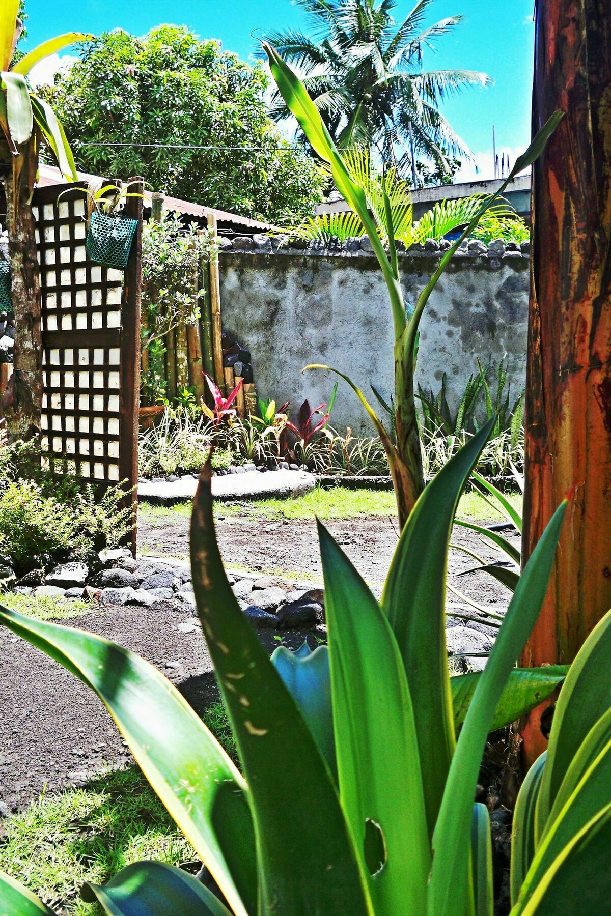 Balay De La Rama Bed & Breakfast Legazpi Buitenkant foto